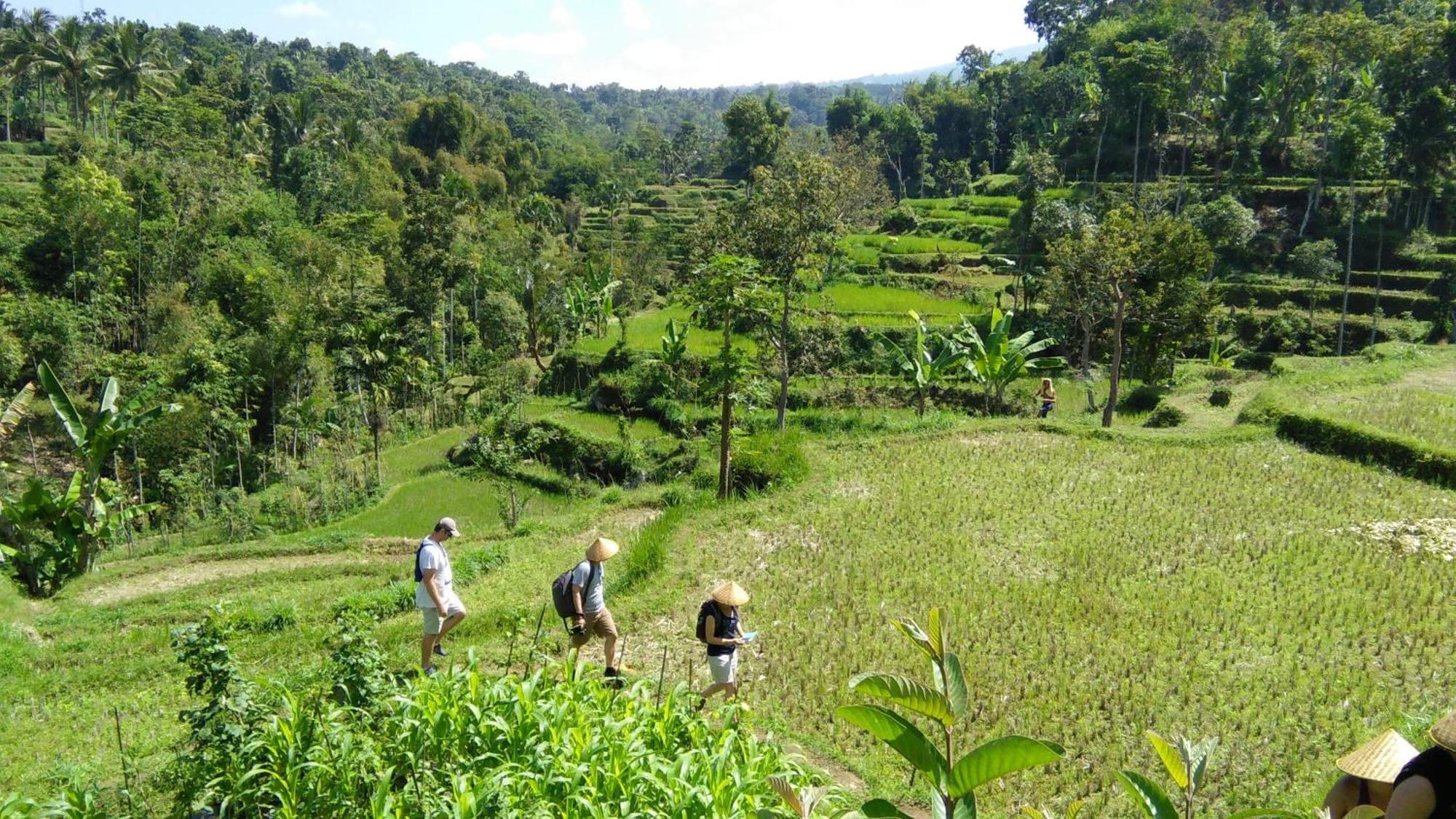 Vanilla Cottage Tetebatu Buitenkant foto