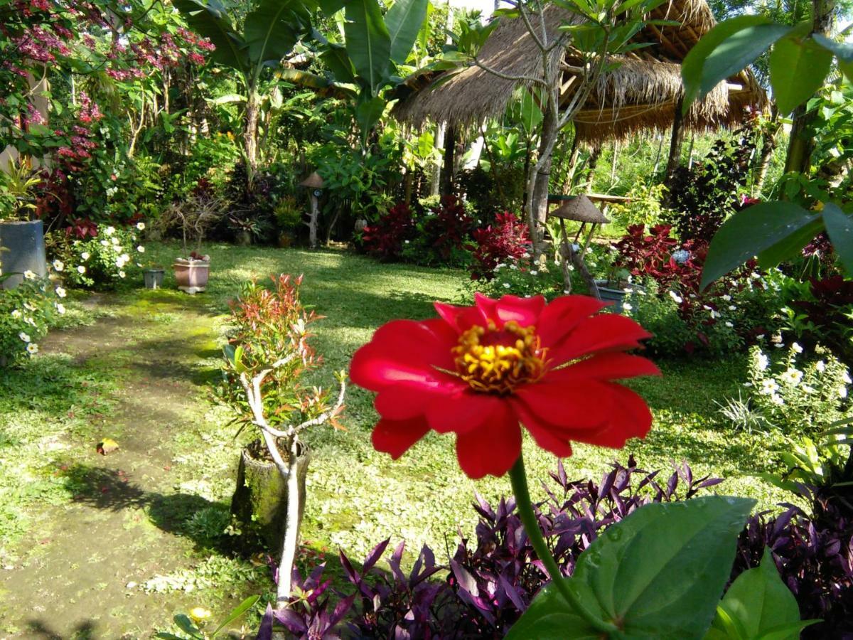 Vanilla Cottage Tetebatu Buitenkant foto