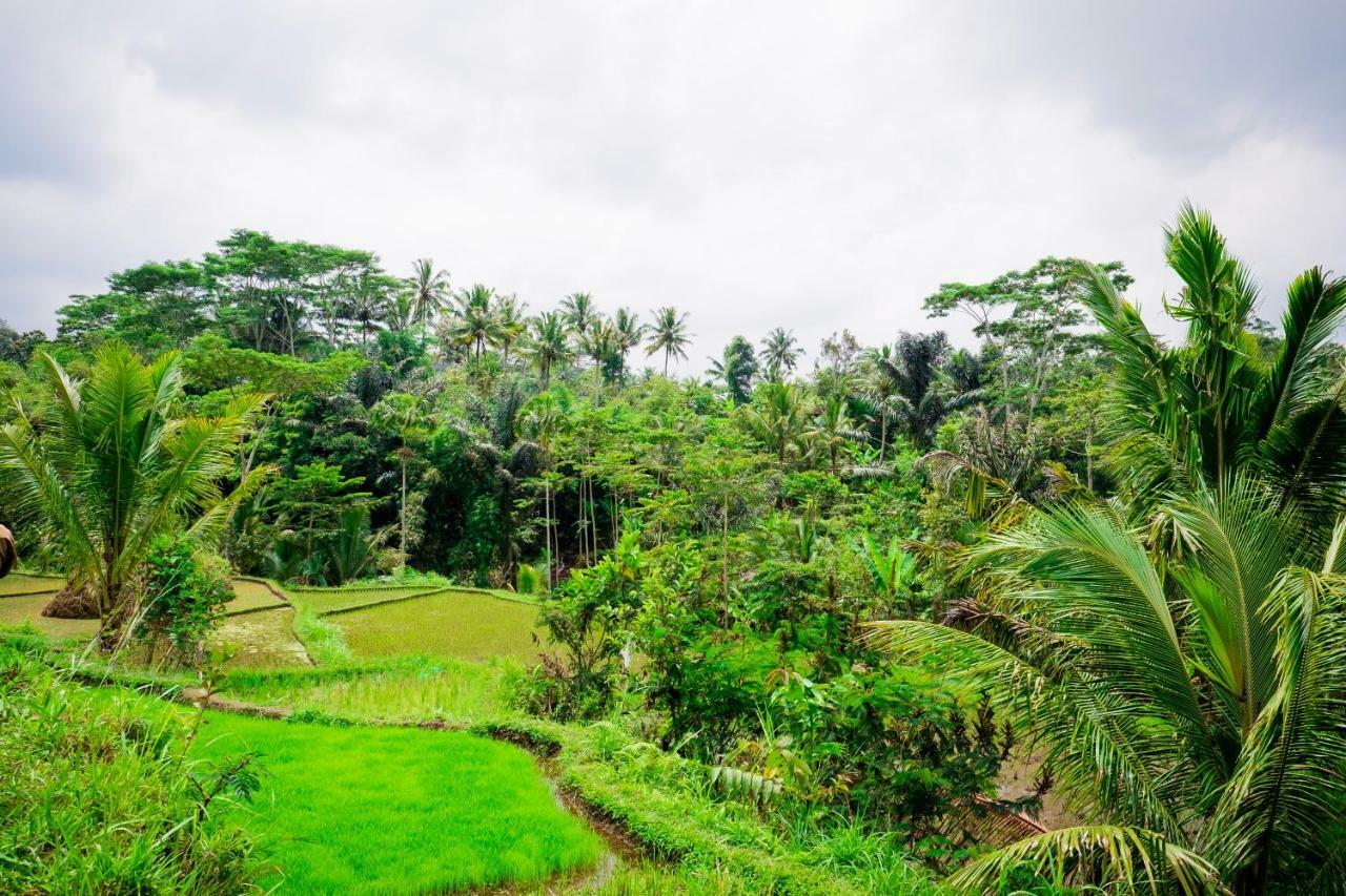 Vanilla Cottage Tetebatu Buitenkant foto