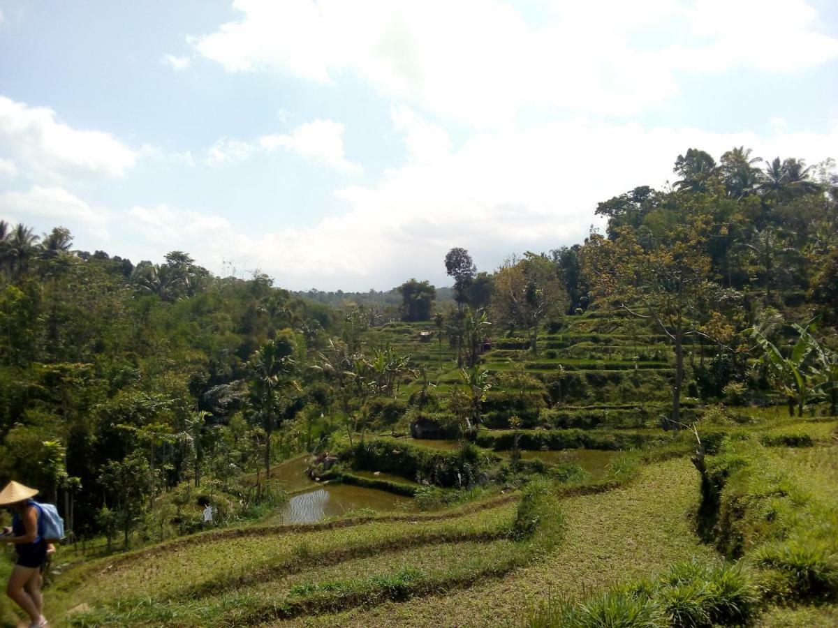 Vanilla Cottage Tetebatu Buitenkant foto